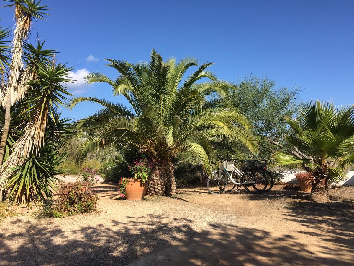 Apartamentos Laura Playa De Migjorn المظهر الخارجي الصورة