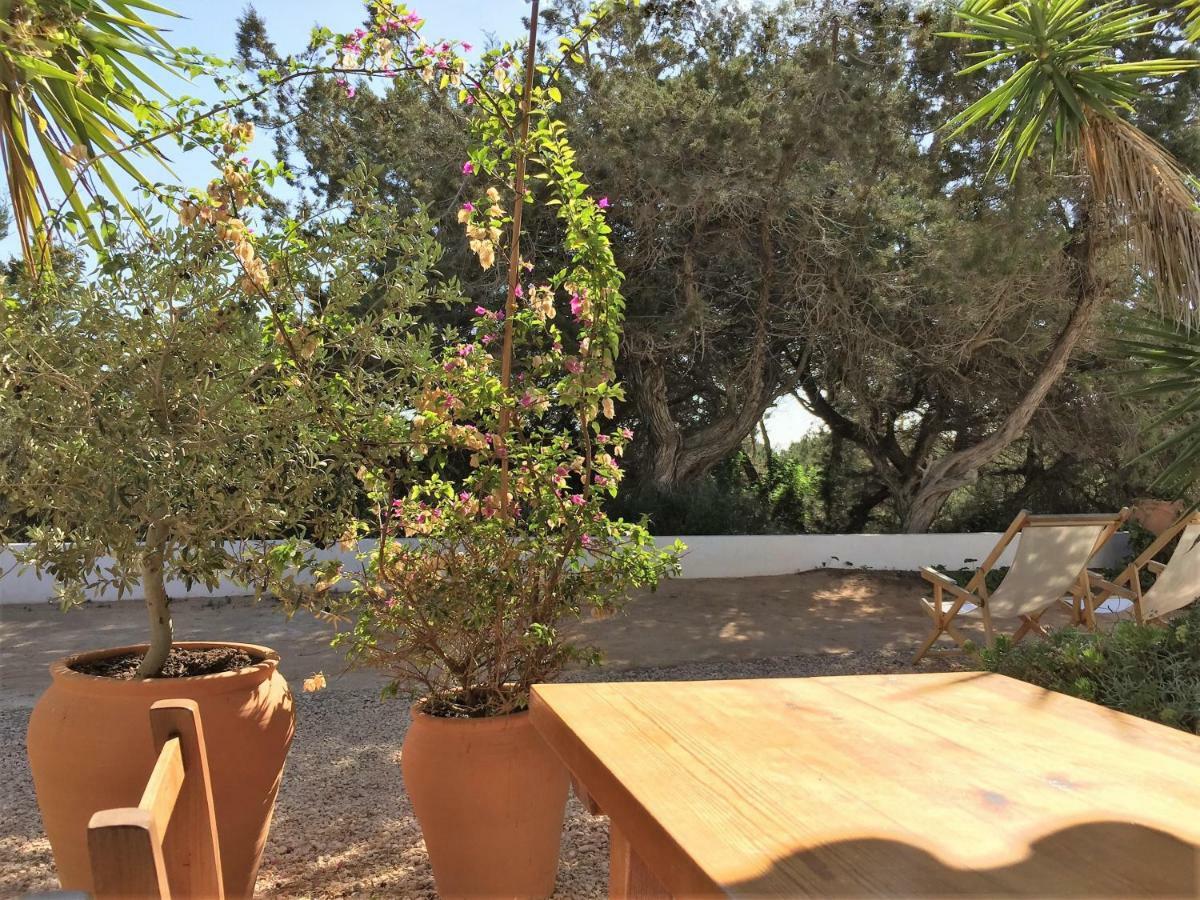 Apartamentos Laura Playa De Migjorn المظهر الخارجي الصورة